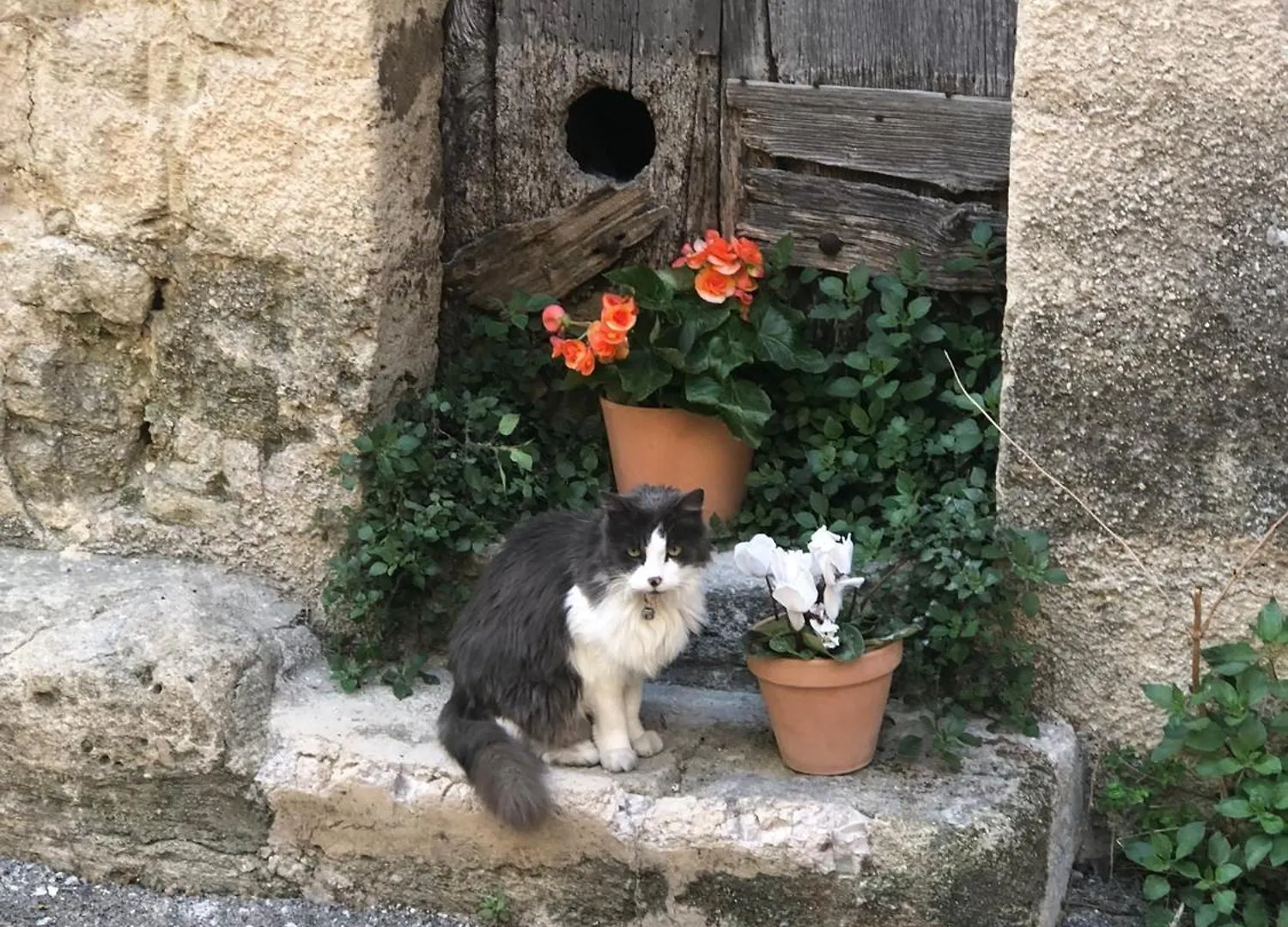 Le Point - Charming Artist'S Cottage In Provence Village Cucuron